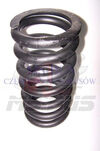 RVI FR1/ILIADE SUSPENSION SPRING - 2