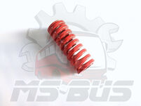 BODE DOOR-MECHANISM SPRING - 2