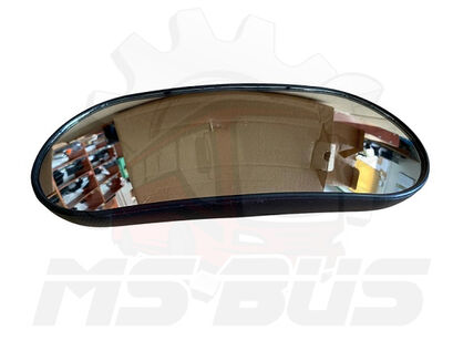 INTERIOR MIRROR WITH HOUSING