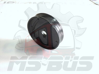BODE/MASATS DOOR-ACTUATOR PISTON RING